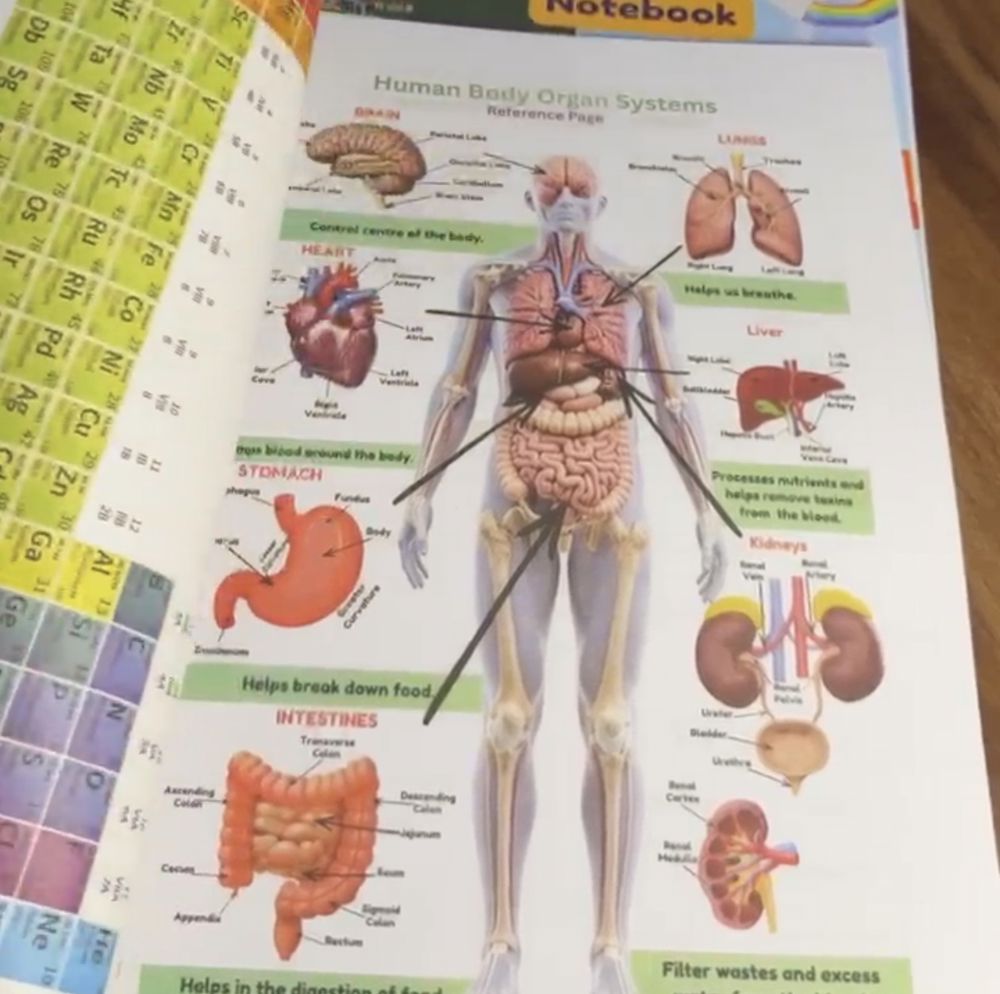 Science Notebook_thumbnail_2
